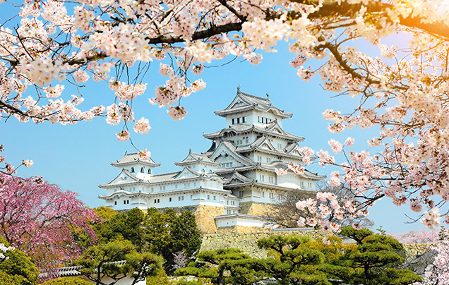 DAY 9: Himeji Castle