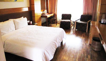 Hotel Druk