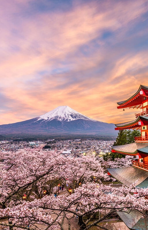 Japan Holidays 2024/2025 | Leading Japan Travel Specialist