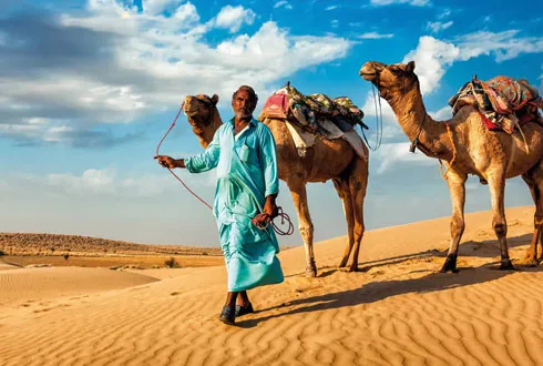 Rajasthan Panorama